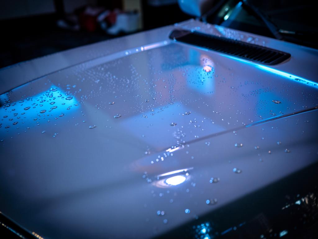 Freshly waxed hood with water beading
